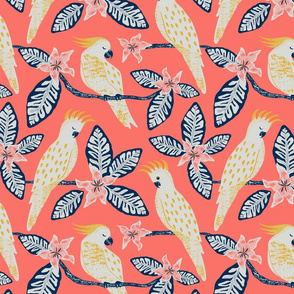 Cockatoo - solid coral background