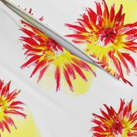 Dahlia Fireworks