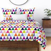 Rainbow Triangle Cheater Quilt / Wholecloth