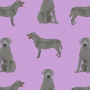 silver lab dog fabric - silver labrador, labrador fabric, silver lab fabric  purple