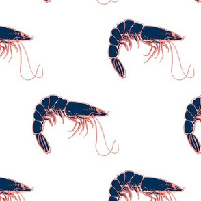 navy blue shrimp