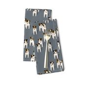 Pack of Parson / Jack Russell Terriers with cute head tilt - slate blue gray