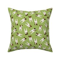 Parson / Jack Russell Terriers random pattern / green