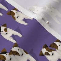 Pack of Parson / Jack Russell Terriers with cute head tilt - purple