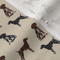 SMALL - german shorthaired pointer dogs fabric - gsp fabric, gsp dog, cute dog, black and white gsp, liver gsp, dog fabric