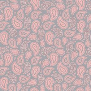 Paisley Meadow - Light Coral on Silver