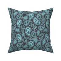 Light Teal Paisley on Charcoal Grey