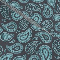 Light Teal Paisley on Charcoal Grey