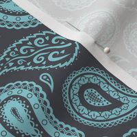 Light Teal Paisley on Charcoal Grey