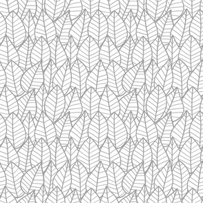 Botanical Leaves Outline