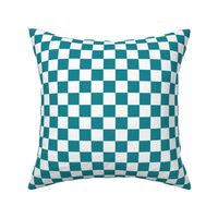 Teal and White Checkers