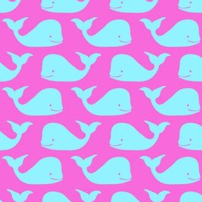 Happy Little Whales in Neon Pink + Aqua