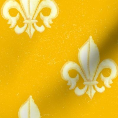 19-02A Mustard Yellow Ochre Home Decor Large France