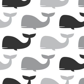 whales - nautical fabric - greys LAD19