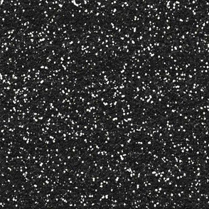 Black white faux sparkles Glitter