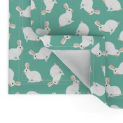 Rabbits tossed on teal