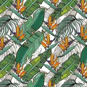Tropical banana palm leaves pattern-ed