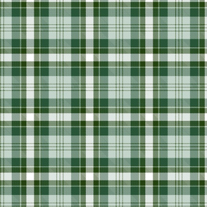 Green and white plaid.