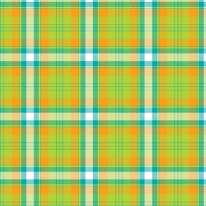 Orange, blue and green plaid.