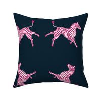 Zebra Magenta on dark navy