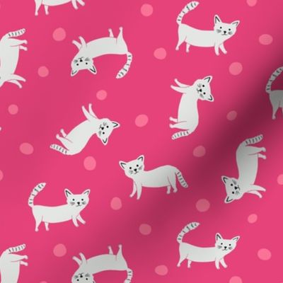 Cats all over on Pink