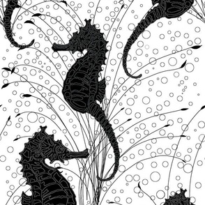  Seahorses White and Black