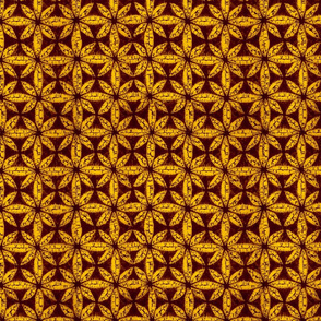 Shibori sunny star