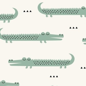 Crocodile Ivory