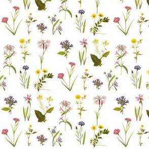 Antique Wildflowers White // small