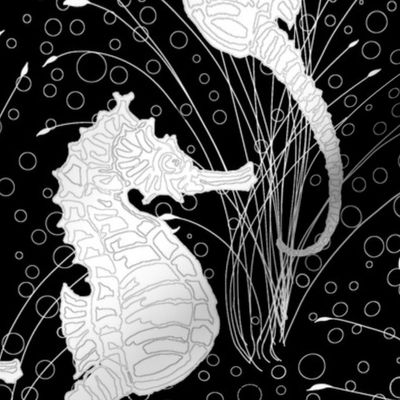  Seahorses Black and White