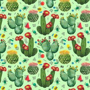 cactuses 