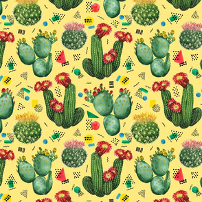 cacti