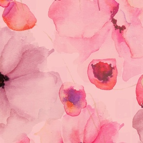 Poppies in Pink