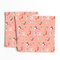 hey cat! calico on blush pink