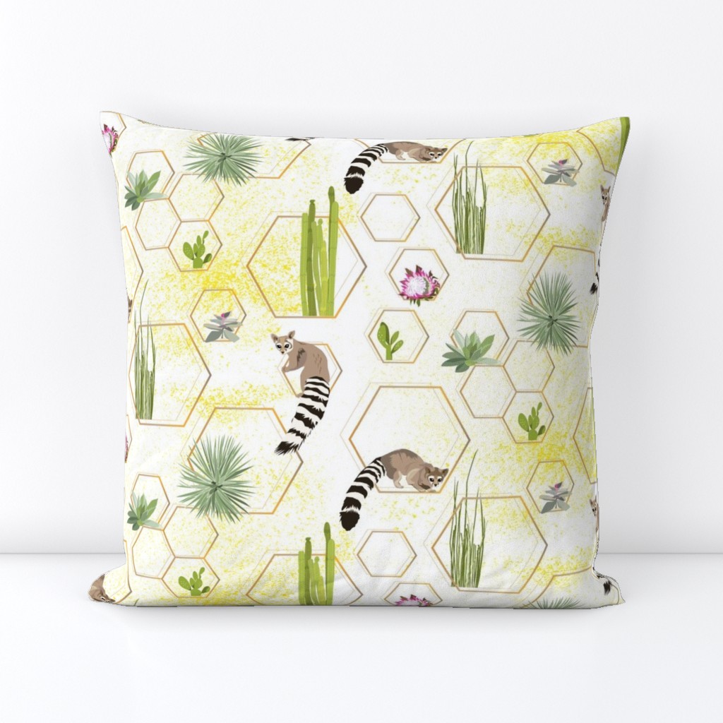 desert hexagons - succulents and ring-tailed cats