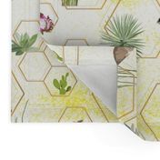 desert hexagons - succulents and ring-tailed cats