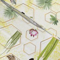 desert hexagons - succulents and ring-tailed cats