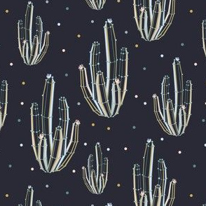 Cactuses 