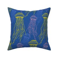 Atlantic Sea nettle, hand drawn 