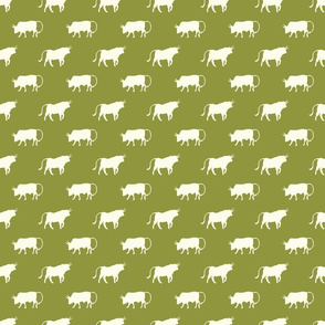 bulls on light green