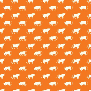 bulls on orange