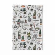 Phoenix Plant Lady // Desert Modernism // Mid-Century Modern // Cacti, succulents, plants, trees, skulls, eyes, geometric, mirrors, books, crystals, adobe, hanging plants, patio, scorpion, desert chic