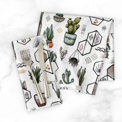 Phoenix Plant Lady // Desert Modernism // Mid-Century Modern // Cacti, succulents, plants, trees, skulls, eyes, geometric, mirrors, books, crystals, adobe, hanging plants, patio, scorpion, desert chic