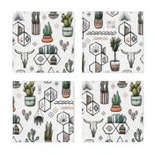Phoenix Plant Lady // Desert Modernism // Mid-Century Modern // Cacti, succulents, plants, trees, skulls, eyes, geometric, mirrors, books, crystals, adobe, hanging plants, patio, scorpion, desert chic