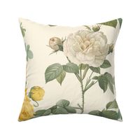 Les Roses de Redoute ~ Double Stripe ~ Yellow and Cream on Cosmic Latte 