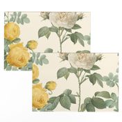 Les Roses de Redoute ~ Double Stripe ~ Yellow and Cream on Cosmic Latte 