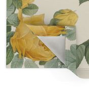 Les Roses de Redoute ~ Double Stripe ~ Yellow and Cream on Cosmic Latte 