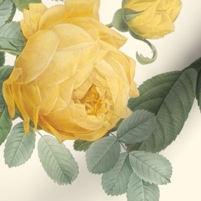 Les Roses de Redoute ~ Double Stripe ~ Yellow and Cream on Cosmic Latte 