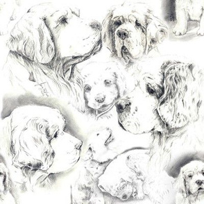 Clumber Spaniel - black & white theme