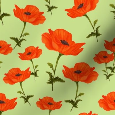 Poppy garden-green